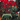 Atonement: Vinyl LP
