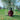 An Introduction To Syd Barrett: Vinyl 2LP