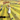 Nursery Cryme: Vinyl LP
