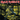 Piece of Mind: Vinyl LP